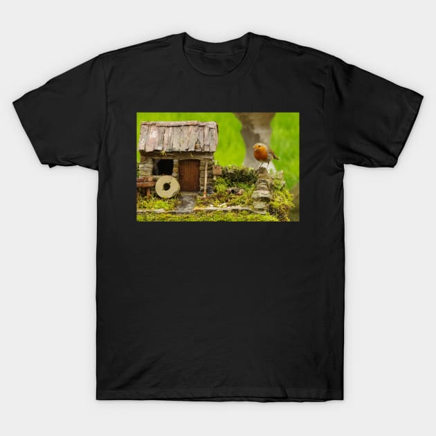 English country garden Robin T-Shirt by Simon-dell